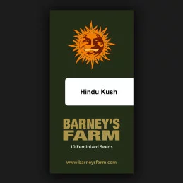Hindu Kush Barney’s Farm – balení semen