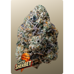 Gary Sherbet Fast Buds – detail palice