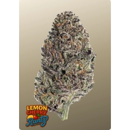 Lemon Cherry Runtz – Fast Buds – detail květu