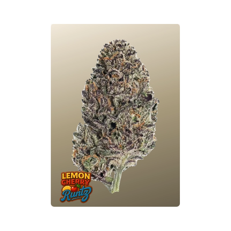 Lemon Cherry Runtz – Fast Buds – detail květu