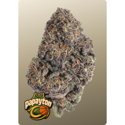 Papayton Fast Buds – detail květu