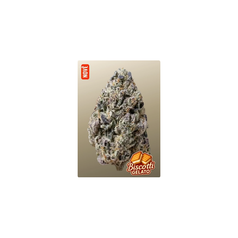 Biscotti Gelato – Fast Buds – hlavní obrázek