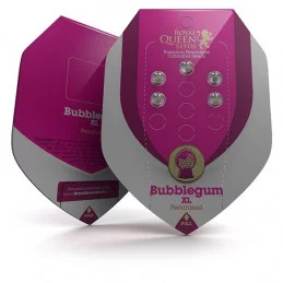 Bubblegum XL-Royal Queen Seeds Feminizovaná semena Mariuhany