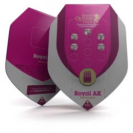 Royal Ak-Royal Queen Seeds feminizovaná semena mariuhany