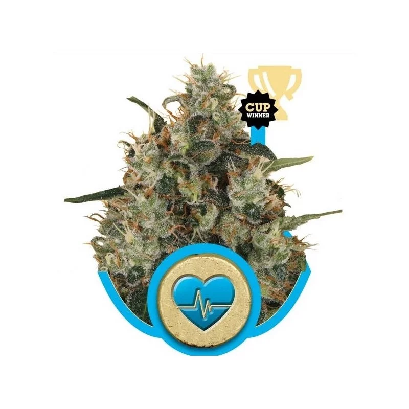 Medical Mass-Medical