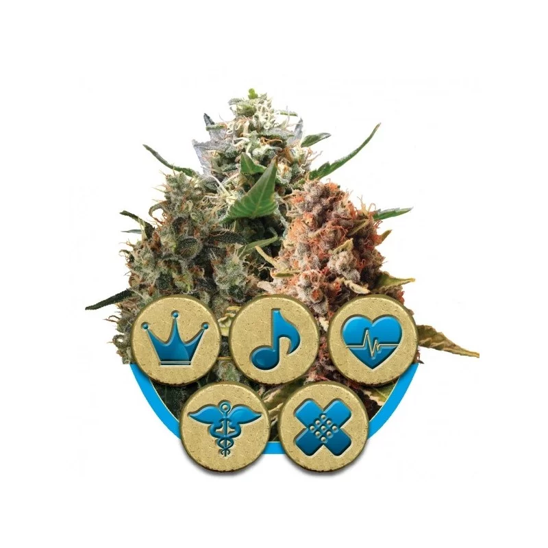 Medical Mix-Medical
