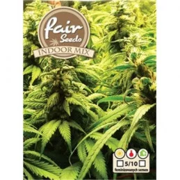 Indoor mix - Fair Seeds - feminizovaná semena