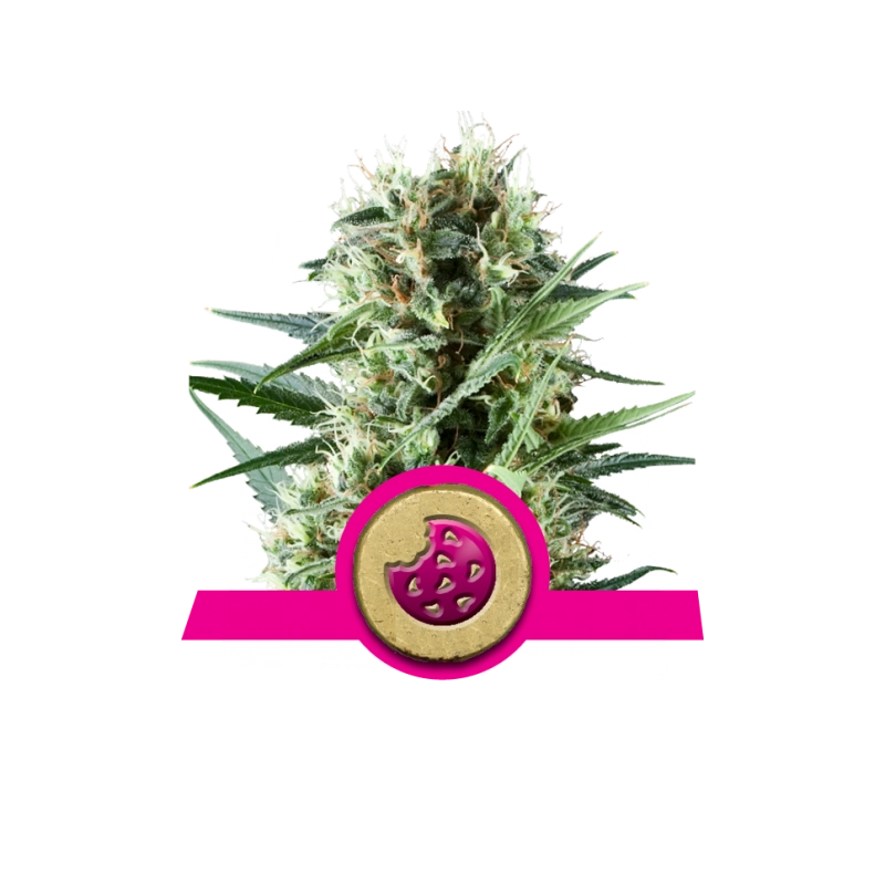 Royal Cookies