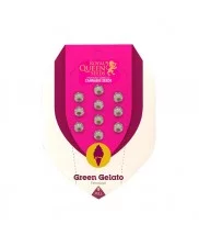 Green Gelato - Royal Queen Seeds - feminizovaná semena