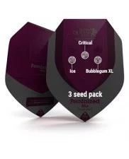 Feminized Mix - Royal Queen Seeds - feminizovaná semena