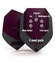 Feminized Mix - Royal Queen Seeds - feminizovaná semena