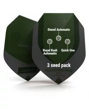 Autoflowering Mix - Royal Queen Seeds - autoflowering