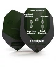 Autoflowering Mix - Royal Queen Seeds - autoflowering