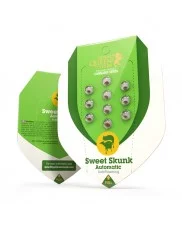 Sweet Skunk Automatic - Royal Queen Seeds - autoflowering