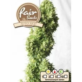 Auto AK47 - Fair Sedds - autoflowering