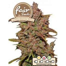 Auto Crystal Meth - Fair Sedds - autoflowering
