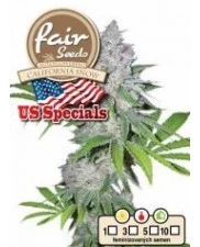 Auto California Snow - Fair Sedds - autoflowering