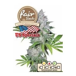 Auto California Snow - Fair Sedds - autoflowering