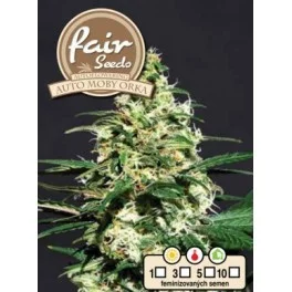 Auto Moby Orka - Fair Sedds - autoflowering