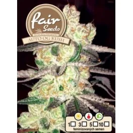 Auto OG Kush - Fair Sedds - autoflowering