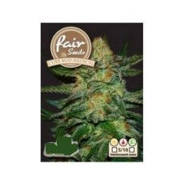 Cure BuD Medical - Fair Sedds - feminizovaná fast semena