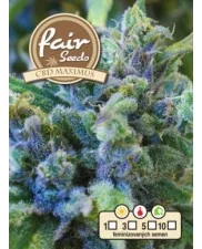 CBD Maximus - Fair Sedds - feminizovaná semena