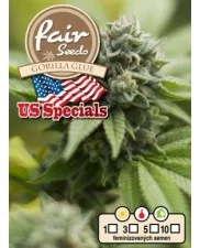 Gorilla Glue - Fair Sedds - feminizovaná semena