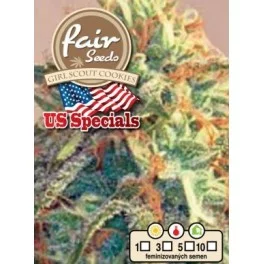 Girl Scout Cookies - Fair Sedds - feminizovaná semena