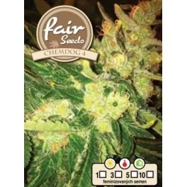 Chemdog 4 - Fair Sedds - feminizovaná semena