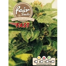 Northern Light Fast - Fair Sedds - feminizovaná fast semena 