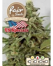 Original Lemon Pie - Fair Sedds - feminizovaná semena