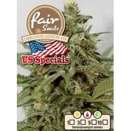 Original Lemon Pie - Fair Sedds - feminizovaná semena
