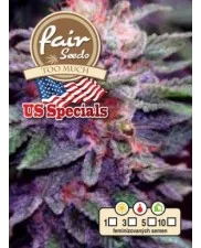 Too Much - Fair Sedds - feminizovaná semena