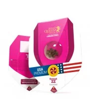 Sweet ZZ - Royal Queen Seeds - feminizovaná semena