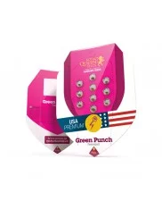 Green Punch - Royal Queen Seeds - feminizovaná semena
