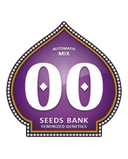 Automatic Mix – 00 Seeds – autoflowering mix semen konopí