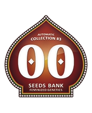 Automatic Collection 3 – 00 Seeds – kolekce 6 autoflowering semen