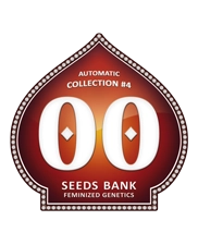 Automatic Collection 4 - OO Seeds - SEEDS-BANK.CZ JIHLAVA
