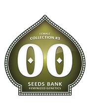 Female Collection #3 - OO Seeds - SEEDS-BANK.CZ JIHLAVA