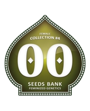 Female Collection 4 - OOseeds - feminizovaná semena - 6 ks
