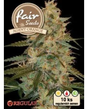 Agent Orange - Fair Seeds - Regular nefeminizovaná semena