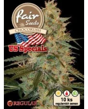 Chocokush - Fair Seeds - Regular nefeminizovaná semena - 10 ks