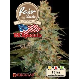 Chocokush - Fair Seeds - Regular nefeminizovaná semena - 10 ks