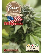 Gorilla Glue - Fair Seeds - Regular nefeminizovaná semena - 10 ks