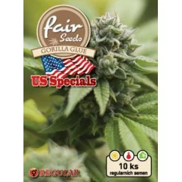 Gorilla Glue - Fair Seeds - Regular nefeminizovaná semena - 10 ks