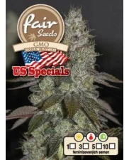GMO Garlic Mint OG - Fair Seeds - feminizovaná semena