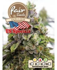 Dos-i-Dos - Fair Seeds - feminizovaná semena