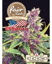 Gelato - Fair Seeds - feminizovaná semena