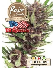 Forbidden Fruit - Fair Seeds - feminizovaná semena