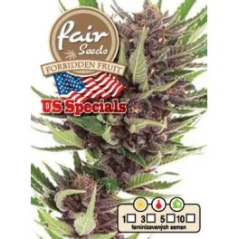Forbidden Fruit - Fair Seeds - feminizovaná semena